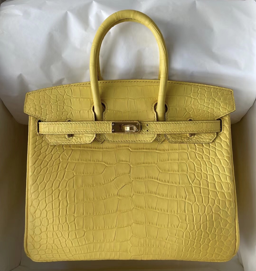 Hermes Birkin 25 美洲鱷魚9R Lime檸檬黃拼L3 Rose Poupre玫瑰紫馬蹄印