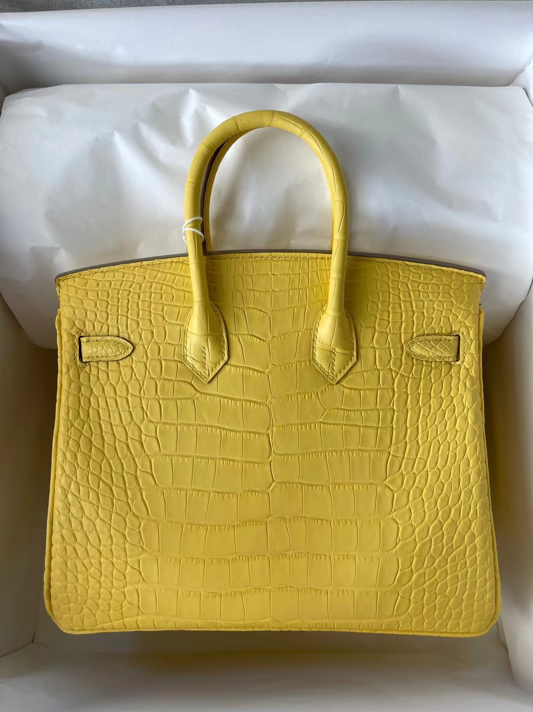 Hermes Birkin 25 美洲鱷魚9R Lime檸檬黃拼L3 Rose Poupre玫瑰紫馬蹄印