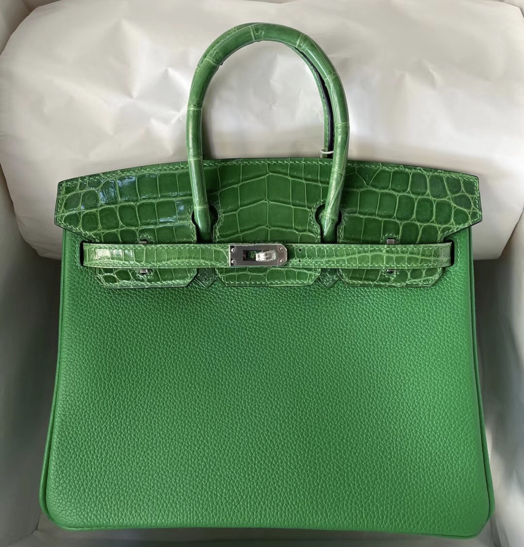 Taiwan Hermes Birkin 25 Touch Togo 尼羅鱷魚 1L 仙人掌綠 Cactus 銀扣