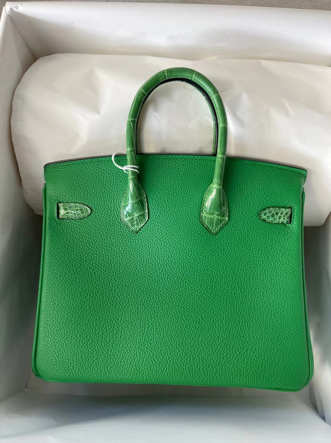 Taiwan Hermes Birkin 25 Touch Togo 尼羅鱷魚 1L 仙人掌綠 Cactus 銀扣