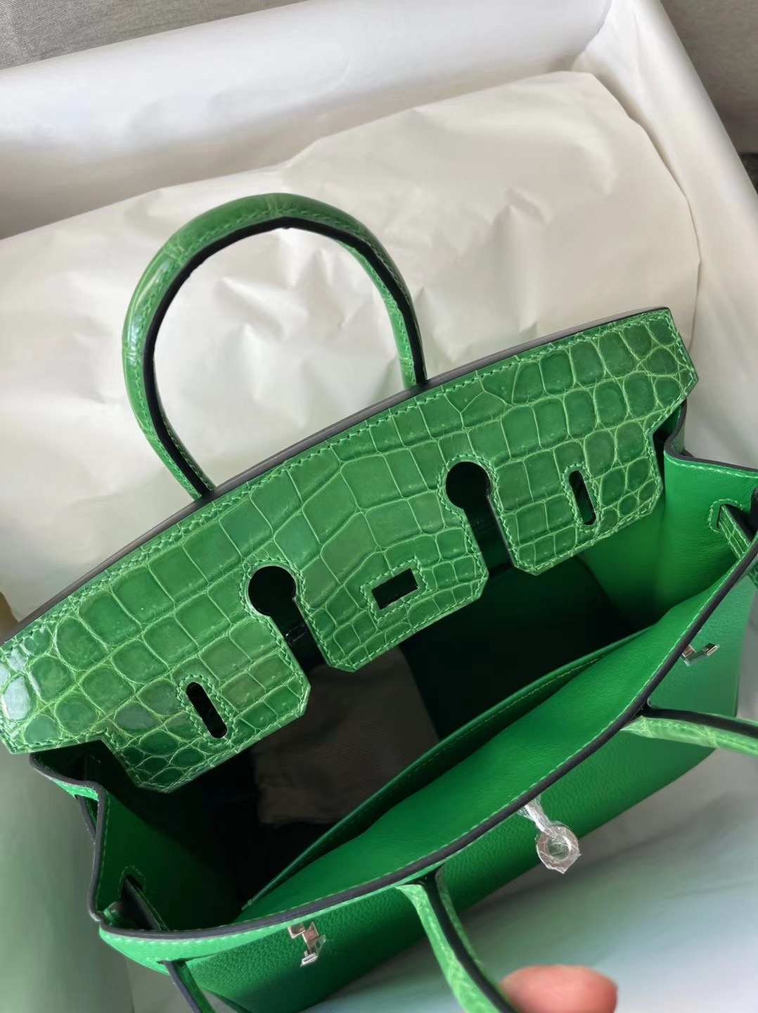 Taiwan Hermes Birkin 25 Touch Togo 尼羅鱷魚 1L 仙人掌綠 Cactus 銀扣