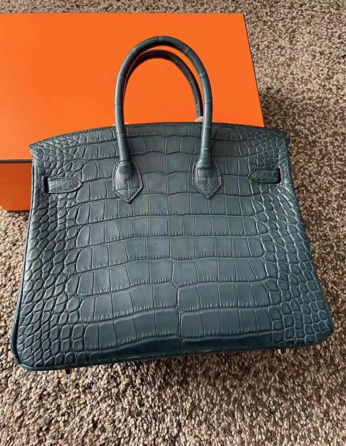 Hermes Birkin 25cm Matte Mississippiensis Alligator V0 vert rousseau 盧梭綠