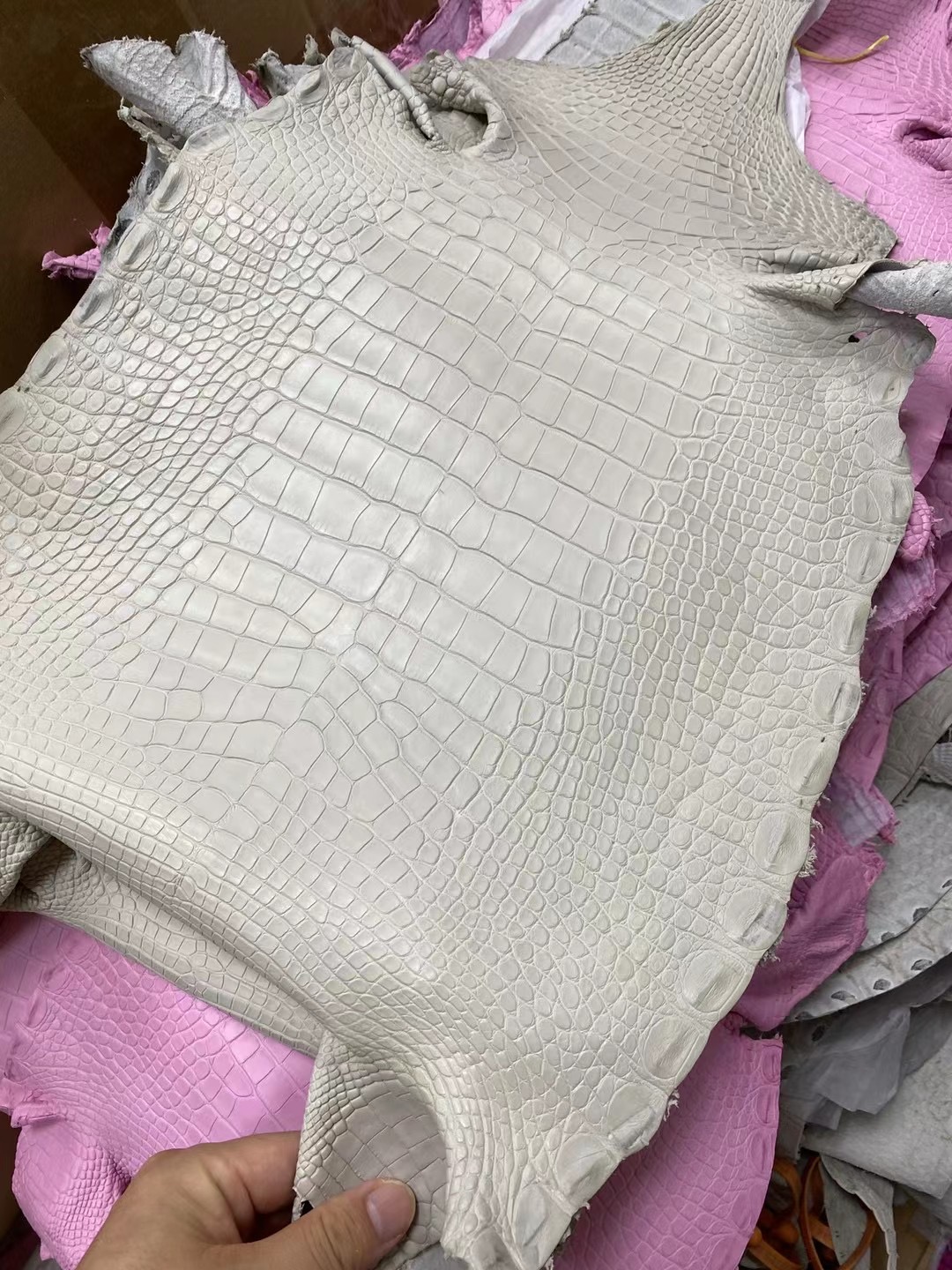 愛馬仕 霧面美洲鱷魚 Hermes 8L Beton 奶油白 Matte Alligator Crocodile