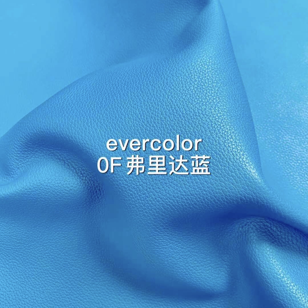 Hermes Evercolor 0F Bleu frida 弗裏達藍 Birkin kelly Bolide 25cm