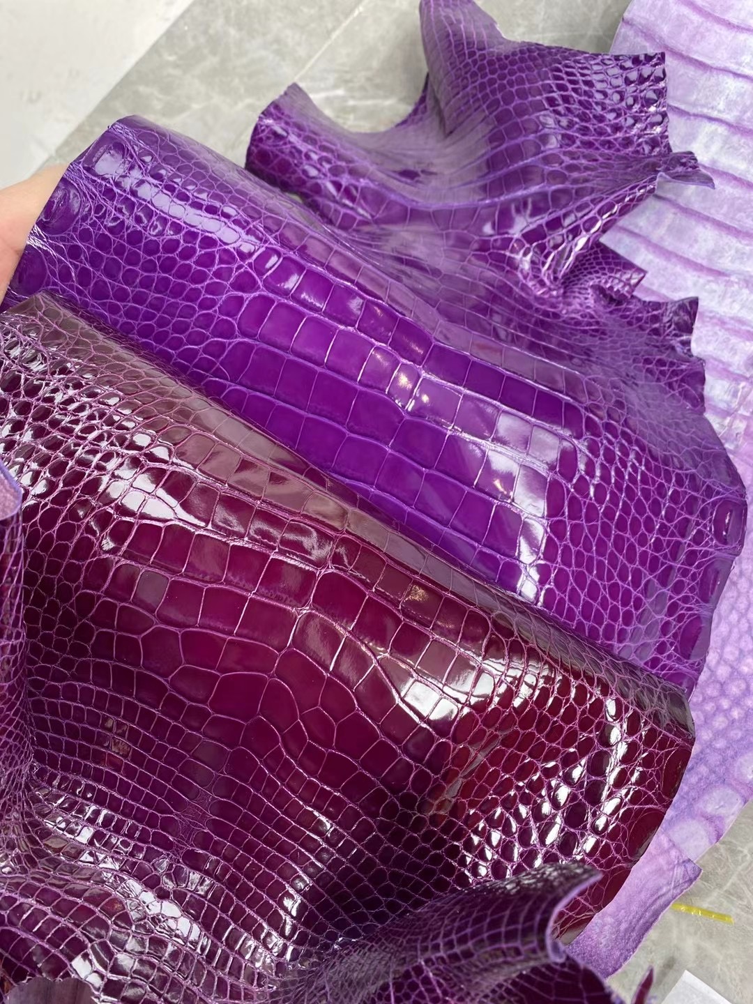 愛馬仕新到皮亮面美洲鱷魚 Hermes N5 Cassis 加侖紫 Shiny Alligator Crocodile