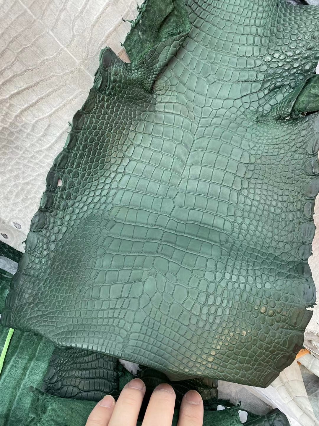 愛馬仕新到皮霧面美洲鱷魚 Hermes Z6 Malachite 孔雀綠 Matte Alligator Crocodile