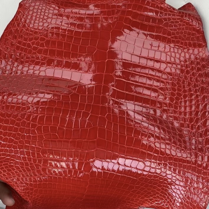 Vietnam Hanoi Hermes Birkin 25cm 95 Braise porosus crocodile