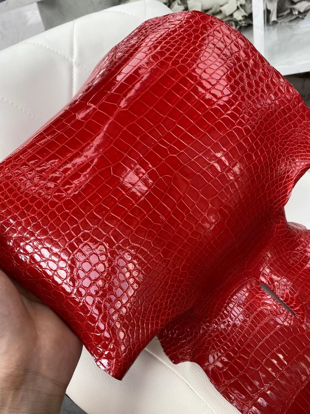 Vietnam Hanoi Hermes Birkin 25cm 95 Braise porosus crocodile