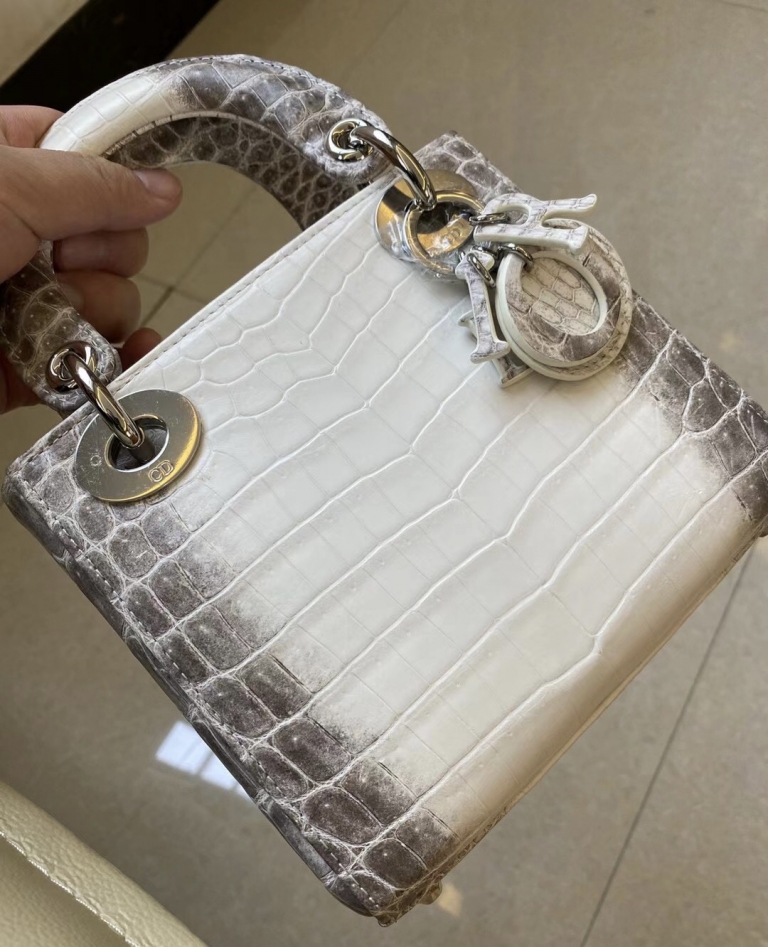 lady dior Himalayan 喜马拉雅 CK01 BLANC Himalayan Crocodile Palladium HardwareHermès Birkin kelly