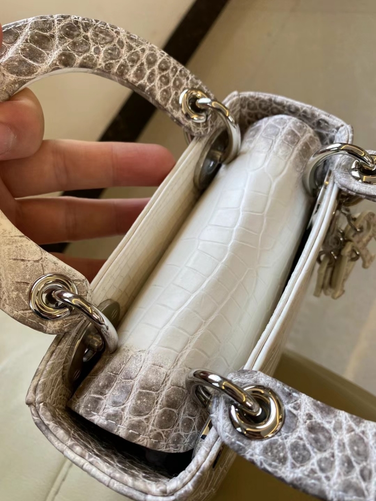 lady dior Himalayan 喜马拉雅 CK01 BLANC Himalayan Crocodile Palladium HardwareHermès Birkin kelly