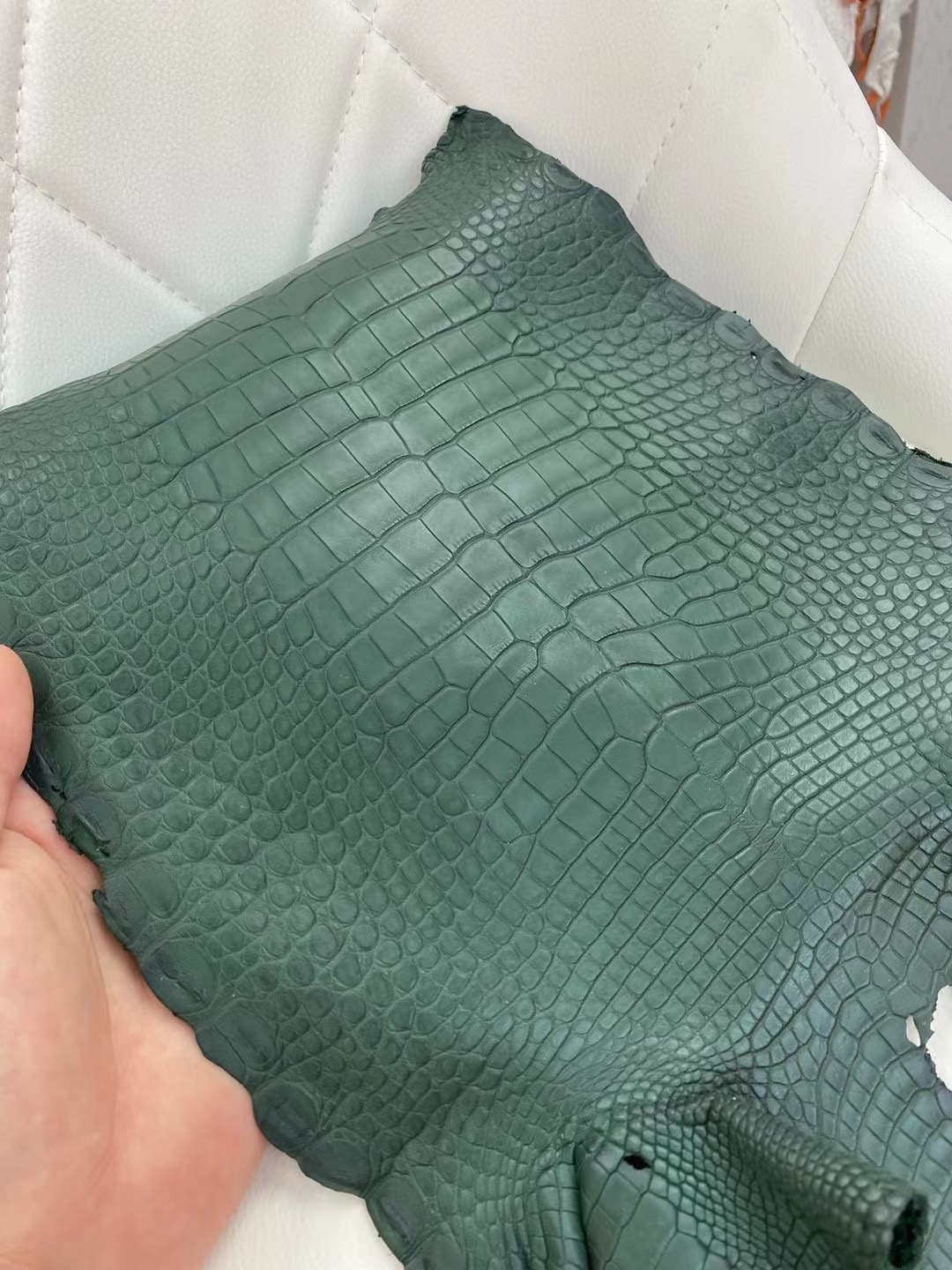 愛馬仕 霧面美洲鱷魚 Hermes Matte Alligator Crocodile 6O Vert Cypress