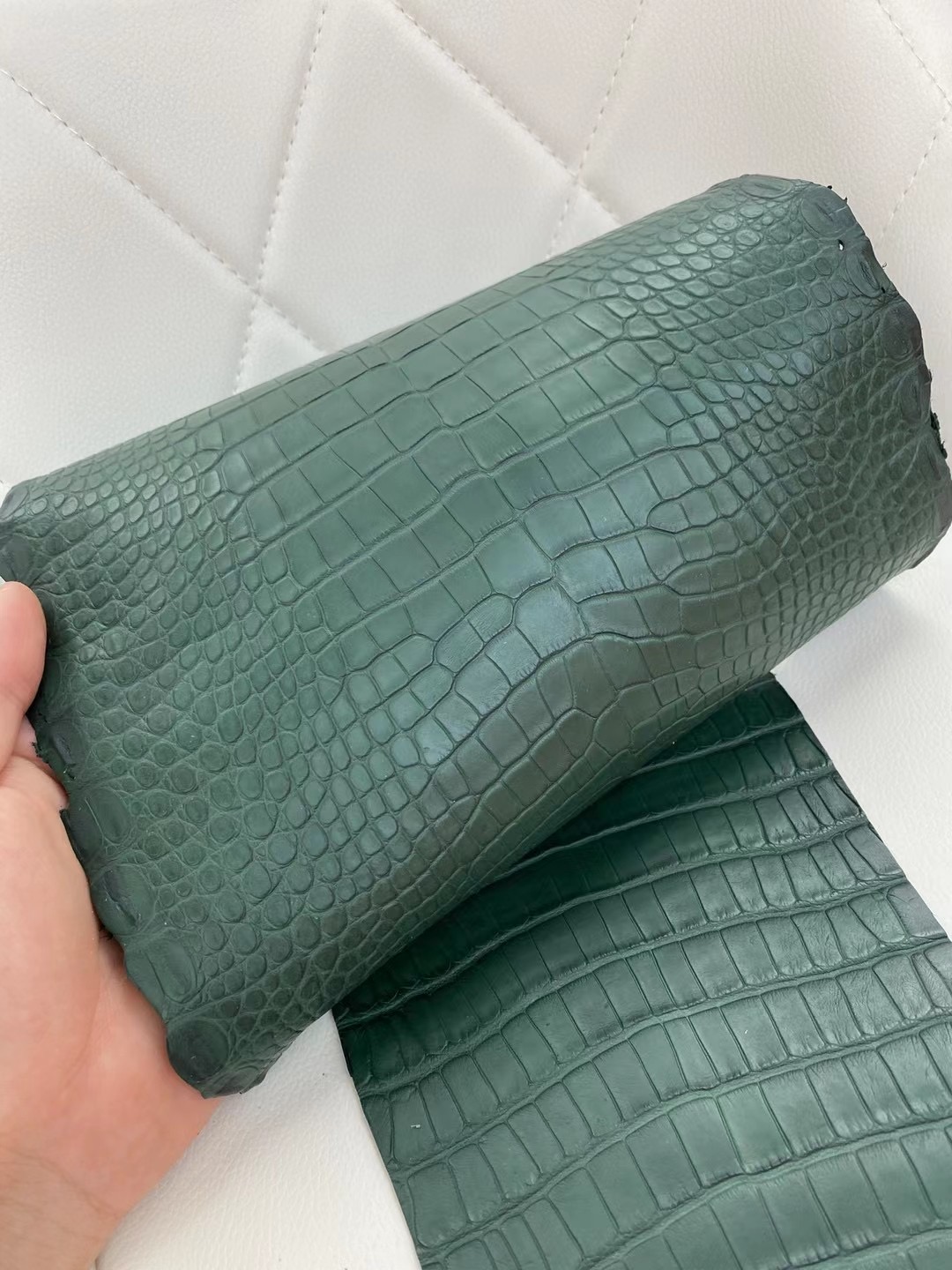 愛馬仕 霧面美洲鱷魚 Hermes Matte Alligator Crocodile 6O Vert Cypress