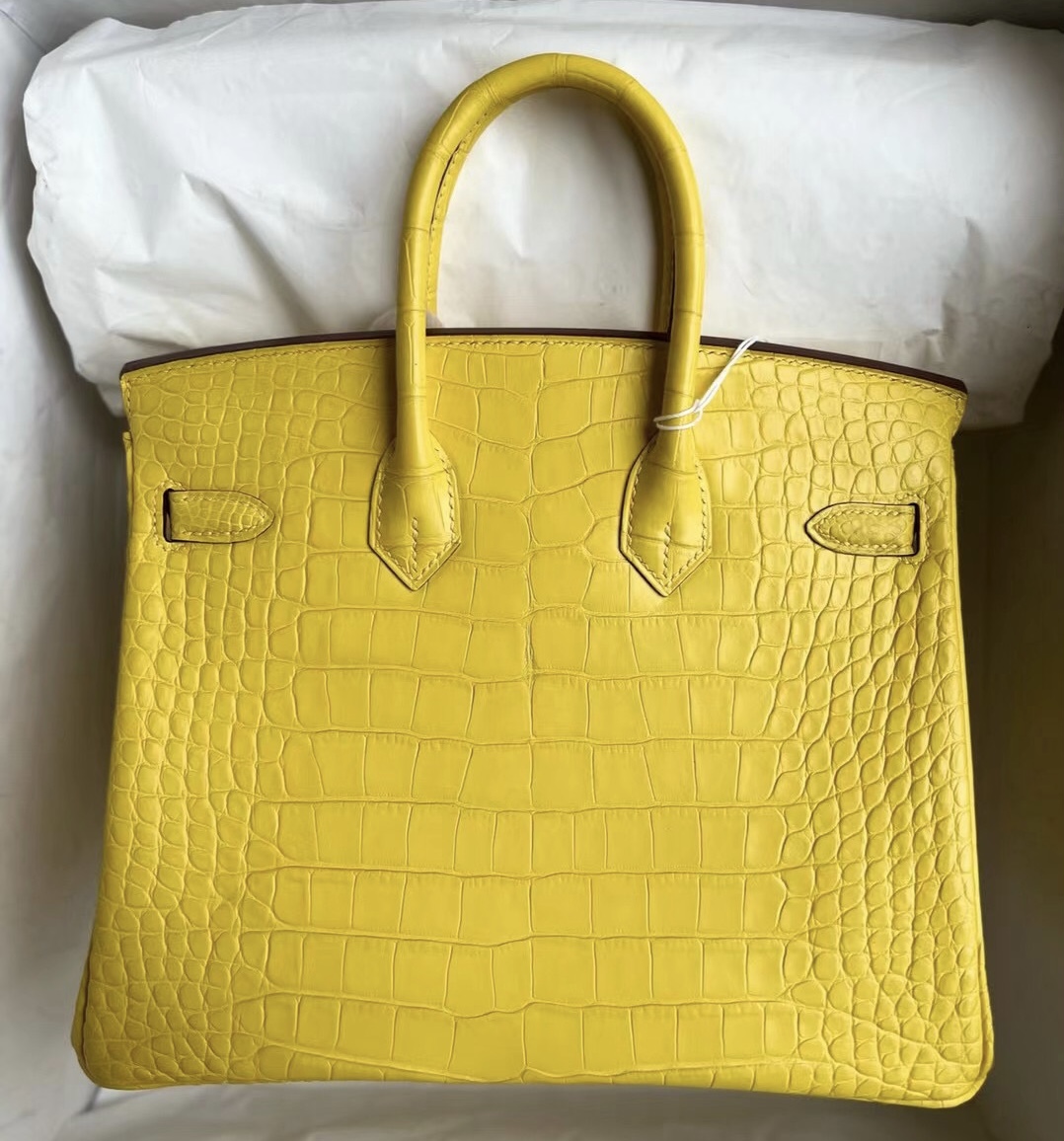 United Arab Emirates Hermes Birkin 25 霧面美洲鱷魚 M9 Mimosa 金盞花黃 GHW