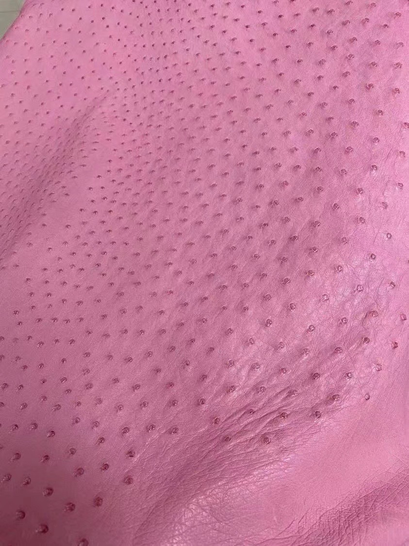 愛馬仕加拿大官方網站 Hermès Roulis Mini L4 Rose bubblegum 泡泡粉