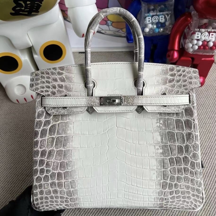 Indonesia Jakarta Hermes Birkin 25cm Himalayan 喜馬拉雅 CK01 BLANC Crocodile