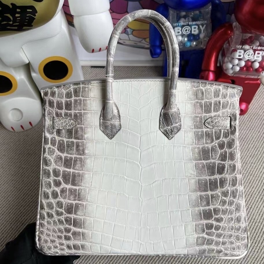 Indonesia Jakarta Hermes Birkin 25cm Himalayan 喜馬拉雅 CK01 BLANC Crocodile