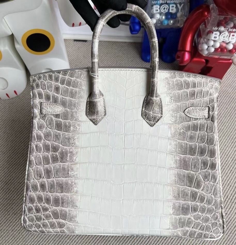 Vietnam Hanoi Hermes Birkin 25cm Himalayan CK01 BLANC Crocodile 喜馬拉雅