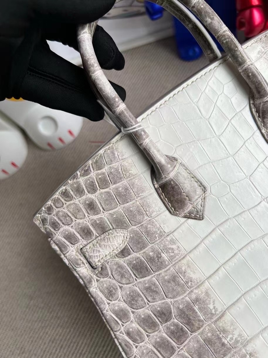 Vietnam Hanoi Hermes Birkin 25cm Himalayan CK01 BLANC Crocodile 喜馬拉雅