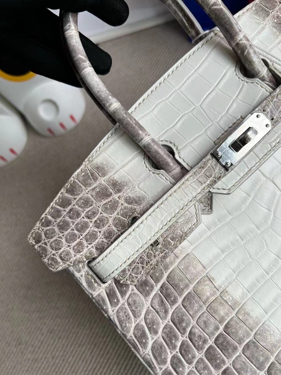 Vietnam Hanoi Hermes Birkin 25cm Himalayan CK01 BLANC Crocodile 喜馬拉雅