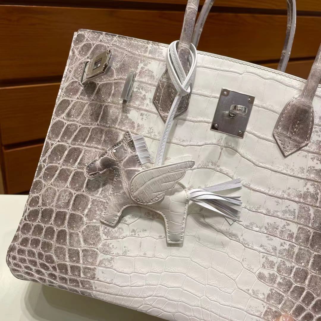 愛馬仕小飛馬掛件 Taiwan Hermes Birkin 30cm Himalayan 喜馬拉雅