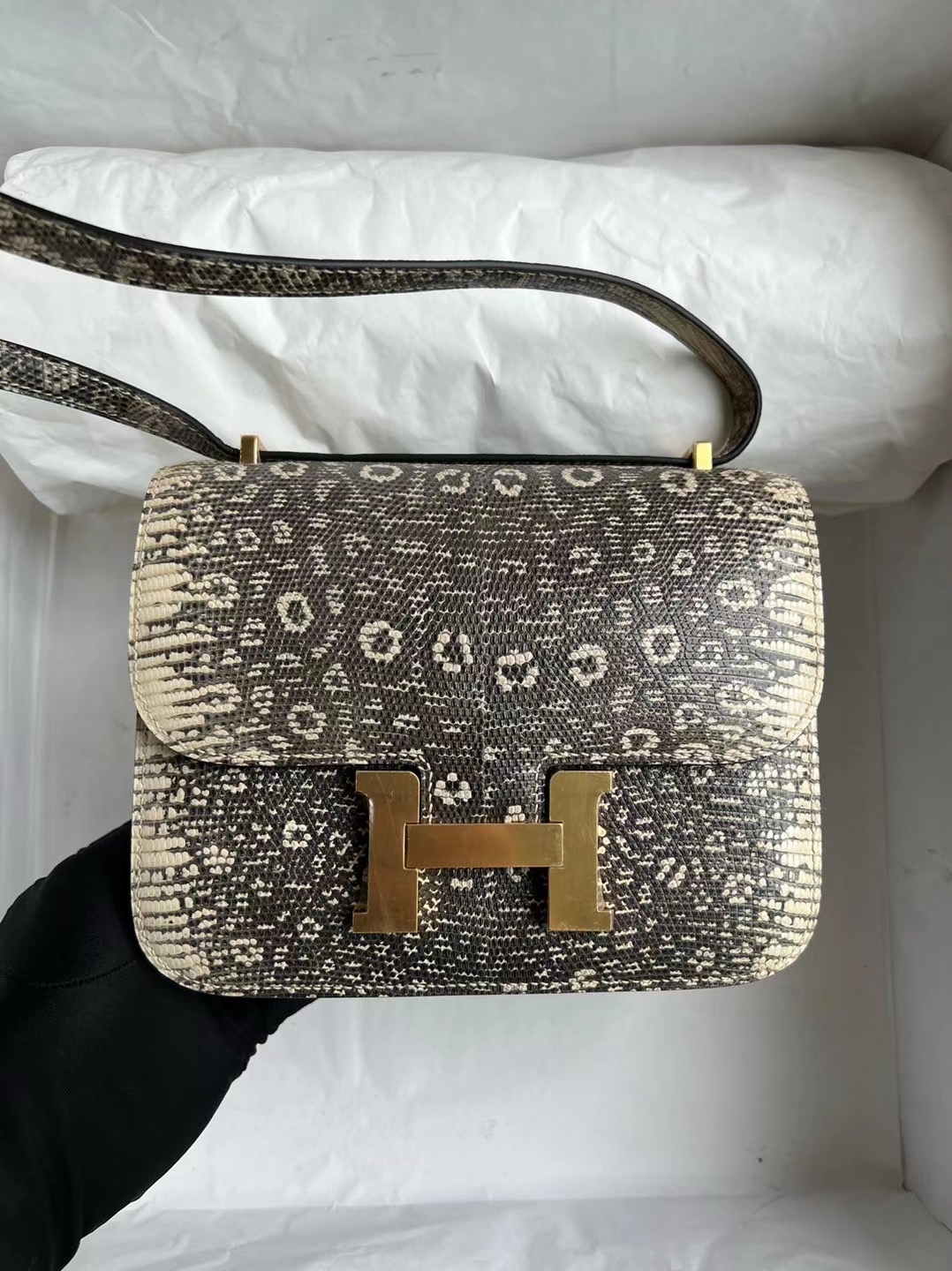 Hermès Constance Mini 18cm Ombre Lizard 自然色蜥蜴皮 原色蜥蜴皮 金扣