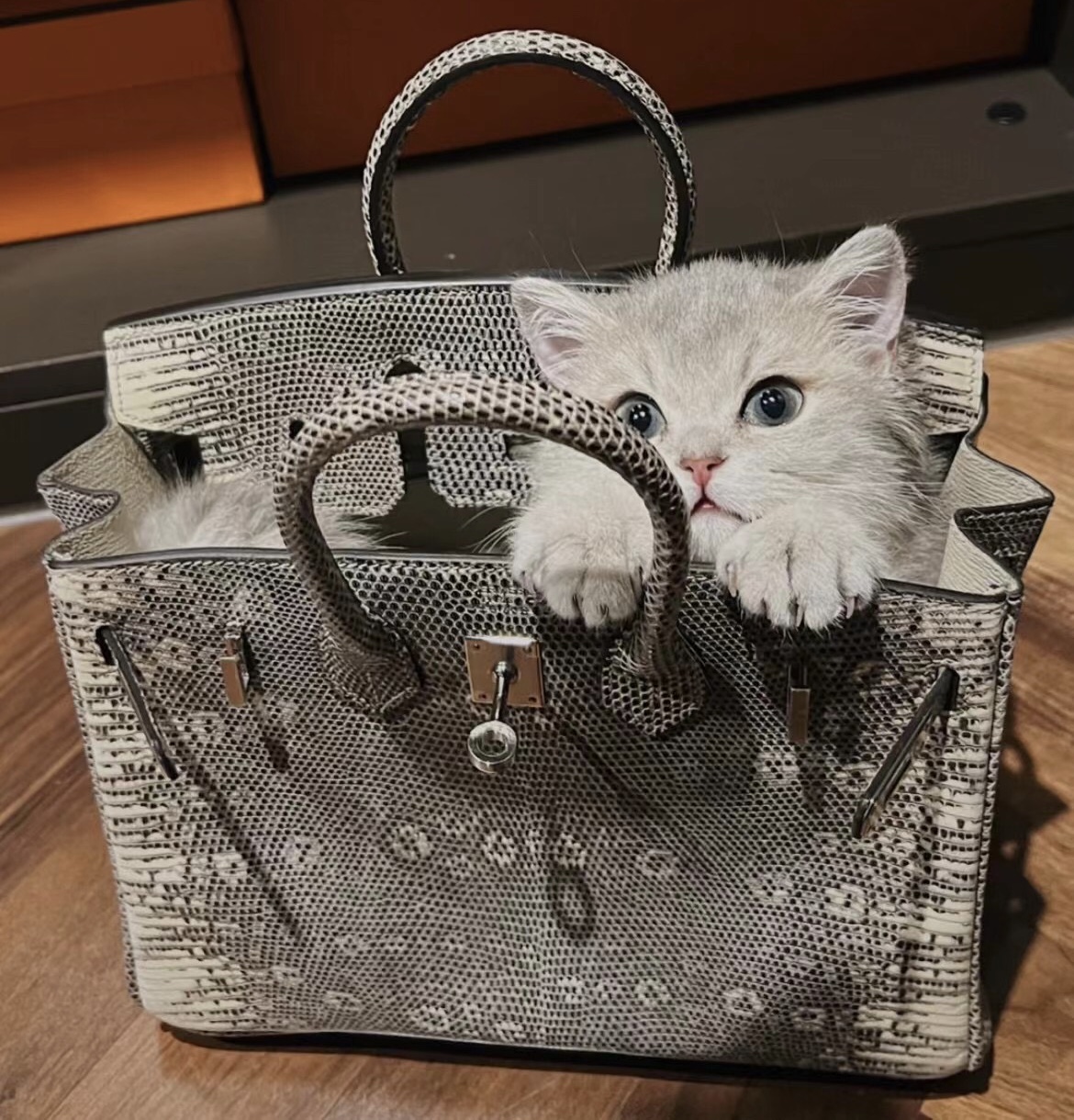 愛馬仕女包最貴多少錢 Hermès Birkin 25cm Ombre Lizard 自然色蜥蜴皮