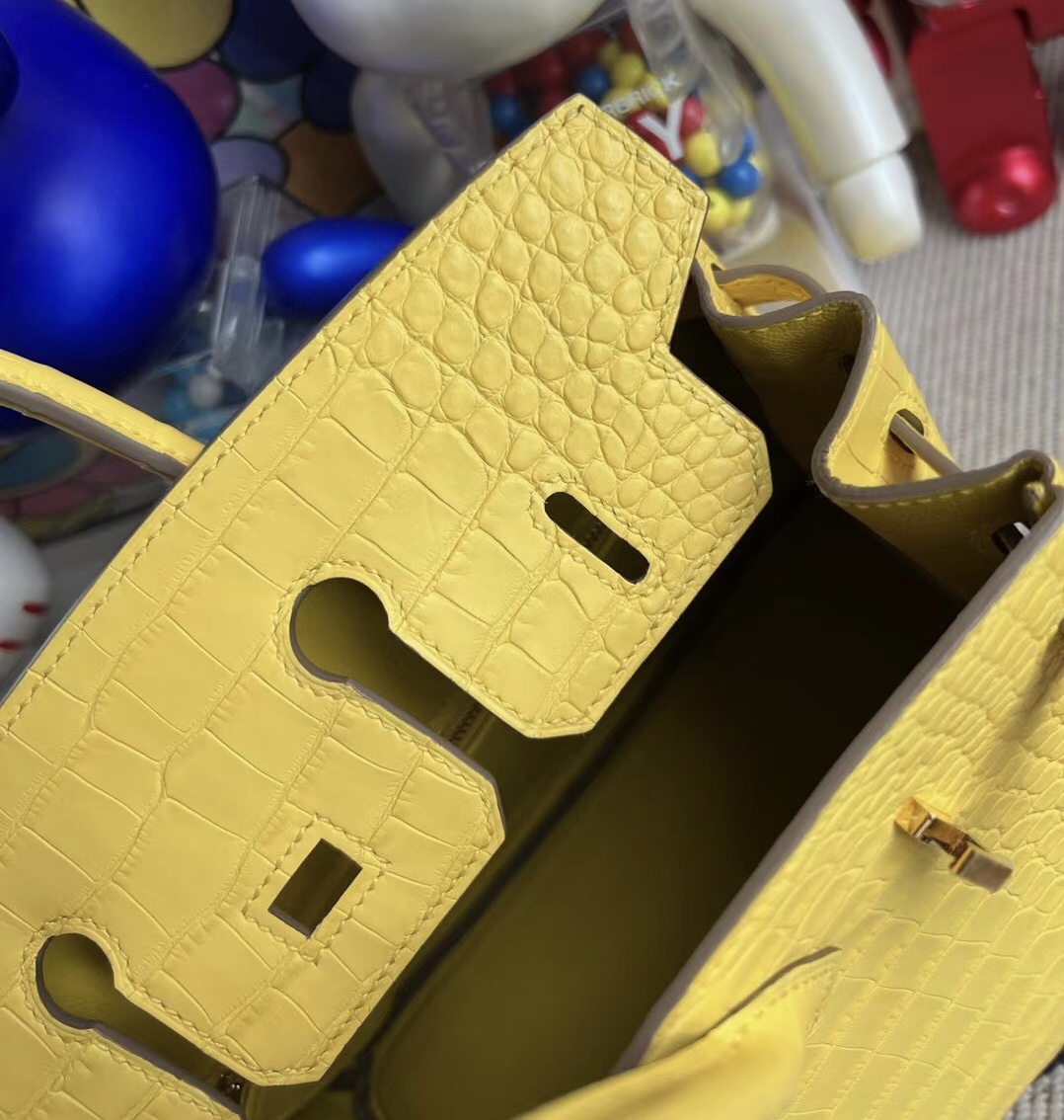 Hermès Birkin 25 M9 Mimosa 金盞花黃 Matter alligator crocodile 金扣霧面美洲鱷魚