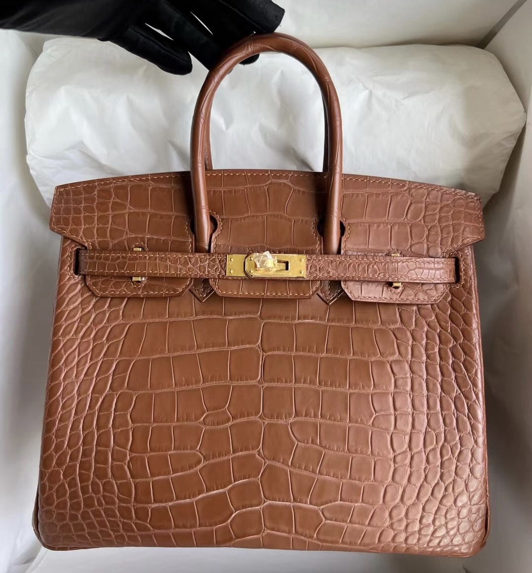 Hermès Birkin 25cm 霧面美洲鱷魚 Matte Alligator Crocodile 37 Gold 金棕色 金扣