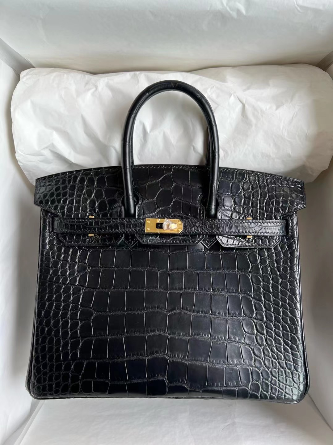 Hermès Birkin 25 Matte Mississippiensis Alligator Noir GHW PHW