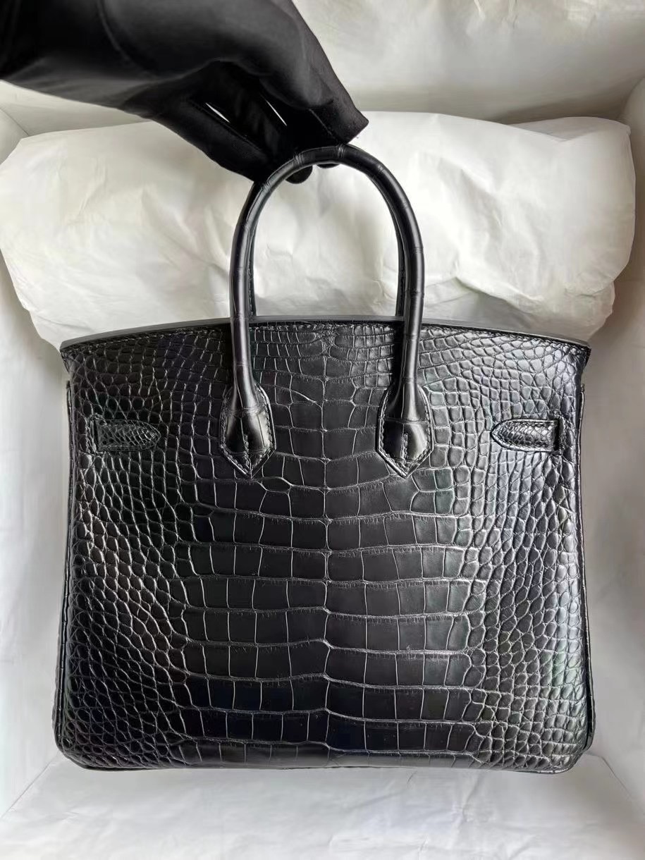 Hermès Birkin 25 Matte Mississippiensis Alligator Noir GHW PHW