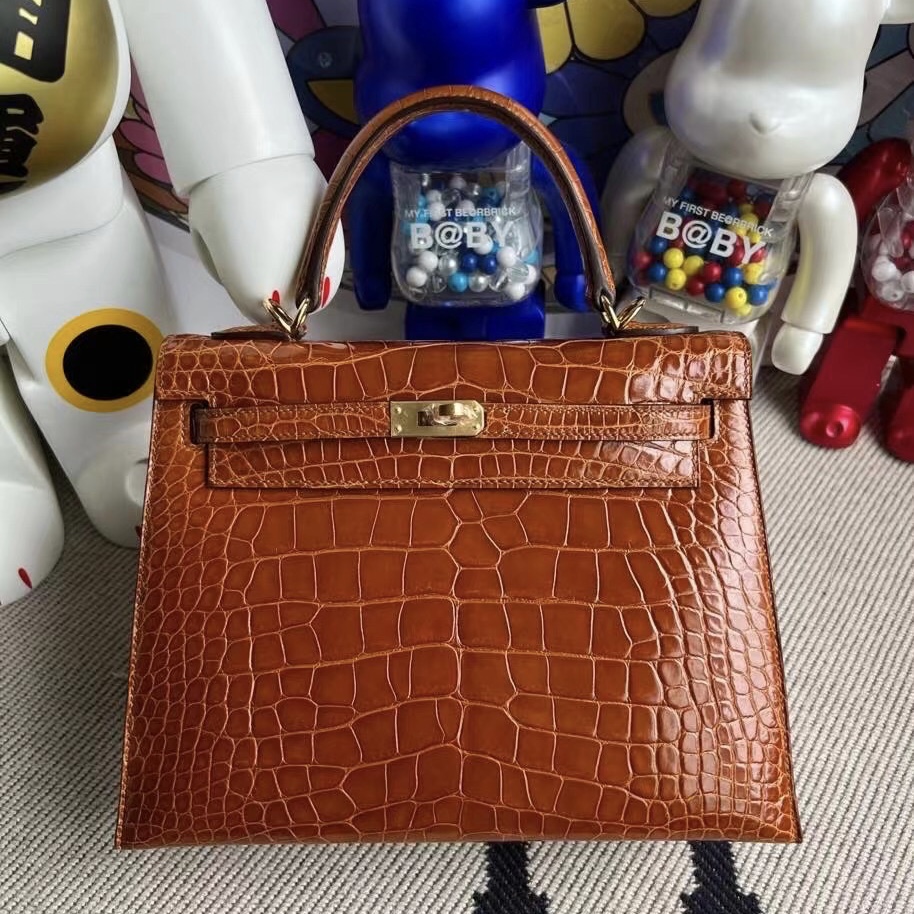 愛馬仕包包 Hermès Birkin 25 Matte Mississippiensis Alligator Noir黑色金扣