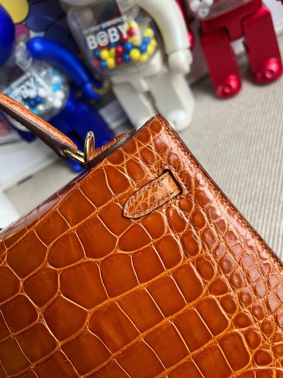 愛馬仕包包 Hermès Kelly 25 Mississippiensis Alligator 31 Miel GHW