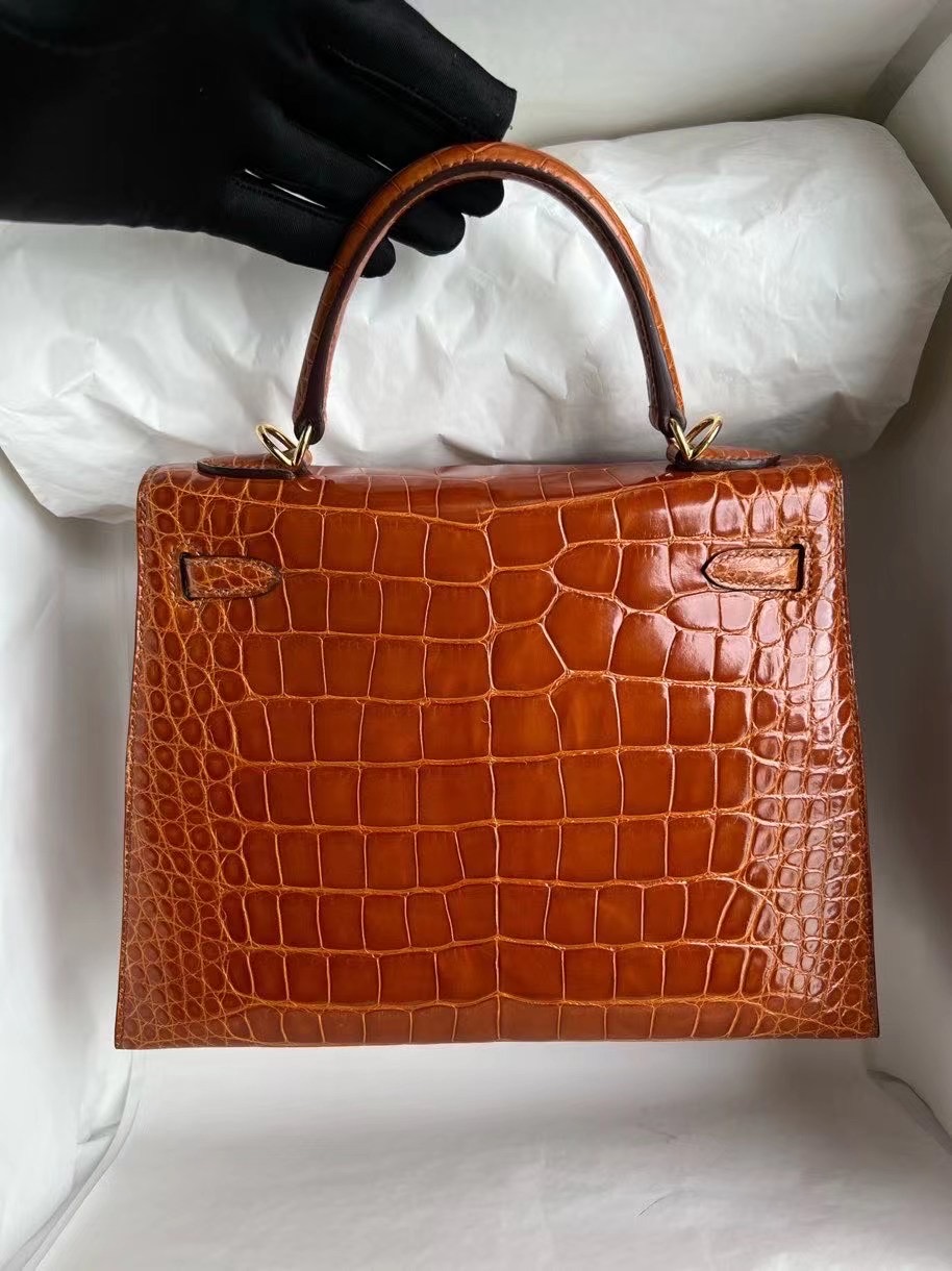 愛馬仕包包 Hermès Birkin 25 Matte Mississippiensis Alligator Noir黑色金扣