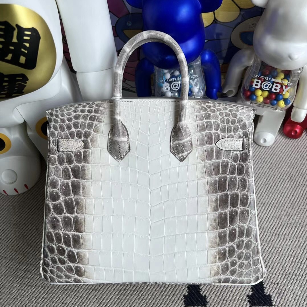 Republic of Indonesia Hermès Birkin 25 Himalayan BLANC Crocodile Stamp U