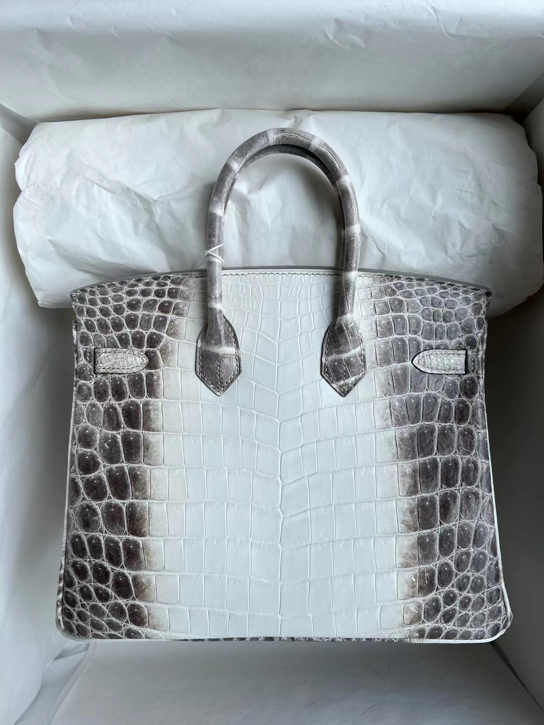 Republic of Indonesia Hermès Birkin 25 Himalayan BLANC Crocodile Stamp U