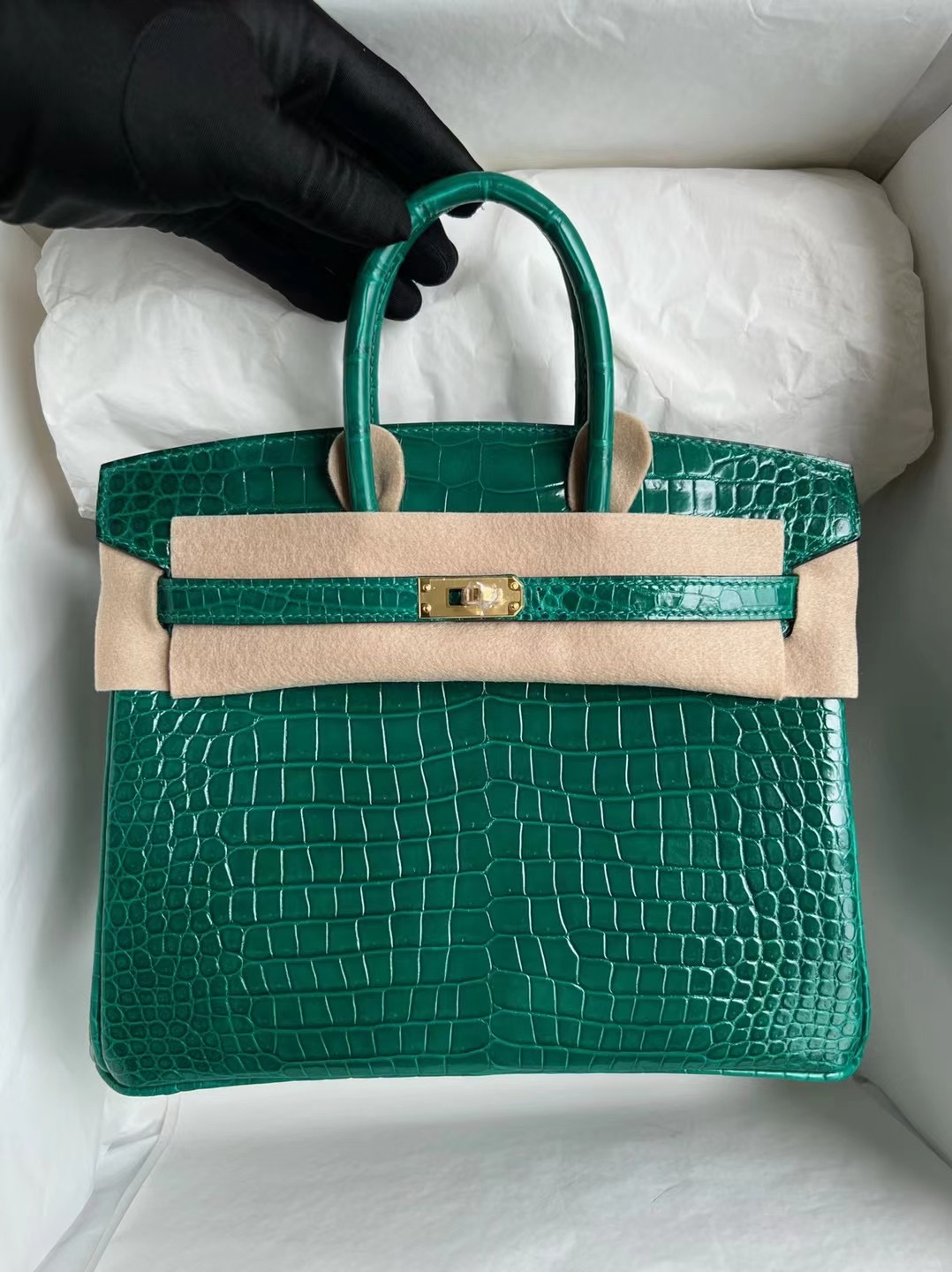 新加坡愛馬仕包包價格 Hermès Birkin 25 亮面倒V澳洲灣鱷6Q Very Emerald 金扣