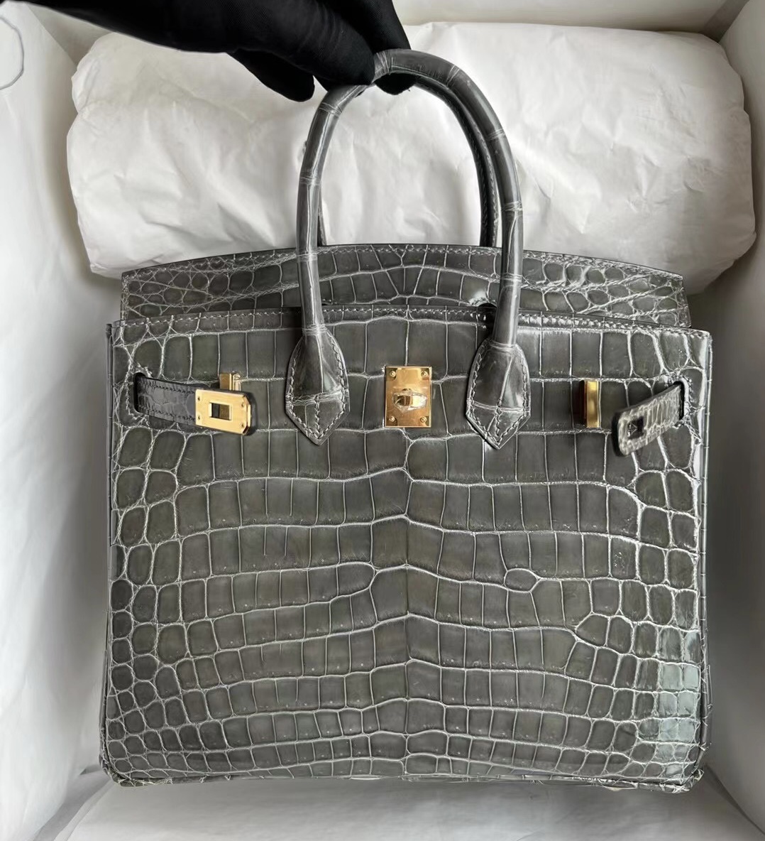 Singapore Hermès Birkin 25 Shiny Nilo Crocodile 8F Etain 錫器灰金扣