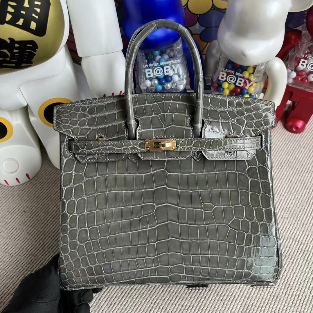 Singapore Hermès Birkin 25 Shiny Nilo Crocodile 8F Etain 錫器灰金扣