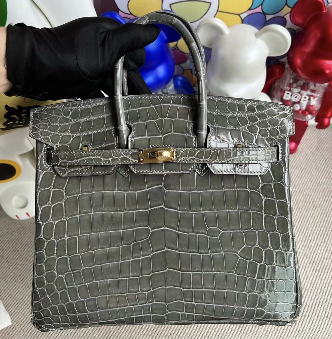 Singapore Hermès Birkin 25 Shiny Nilo Crocodile 8F Etain 錫器灰金扣