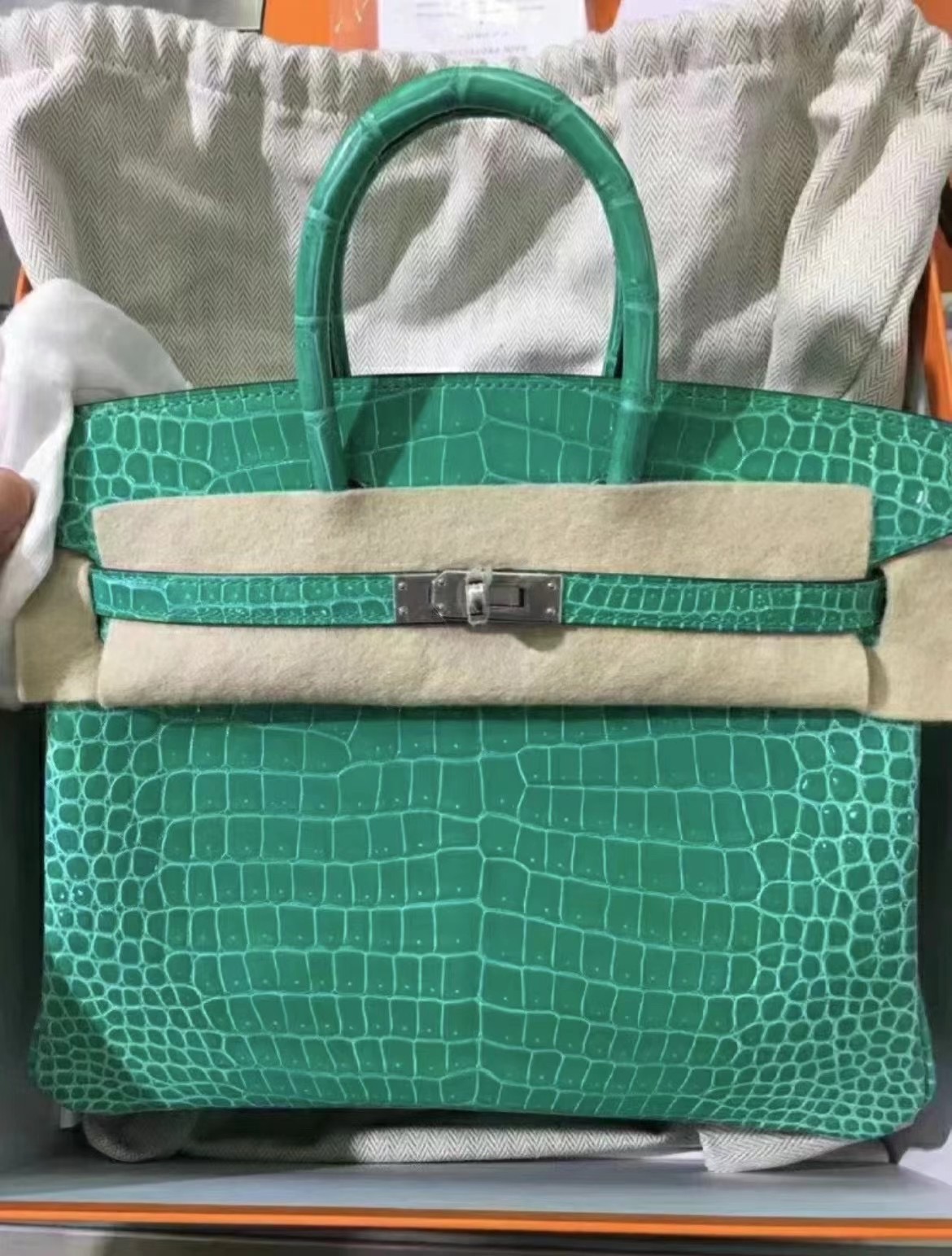 愛馬仕亮面倒V 澳洲灣鱷 Hermès Shiny Porosus Crocodile O6 Vert Jade Birkin 25