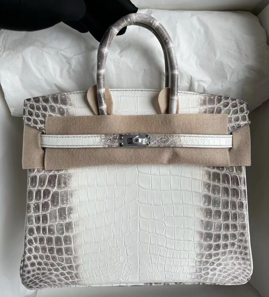 Indonesia Hermès Birkin 25cm CK01 BLANC Himalayan Crocodile Palladium