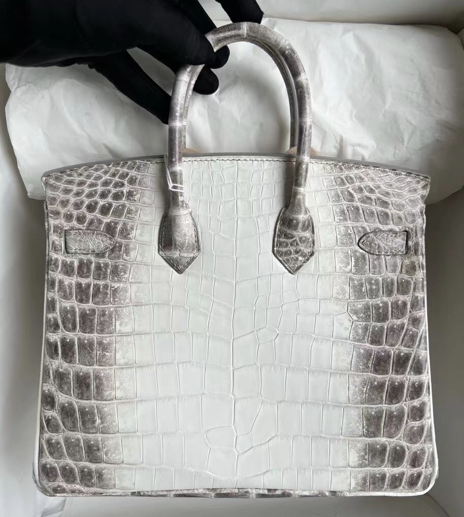 Indonesia Hermès Birkin 25cm CK01 BLANC Himalayan Crocodile Palladium