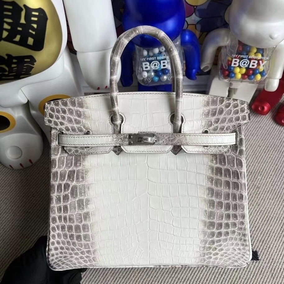 Indonesia Hermès Birkin 25cm CK01 BLANC Himalayan Crocodile Palladium