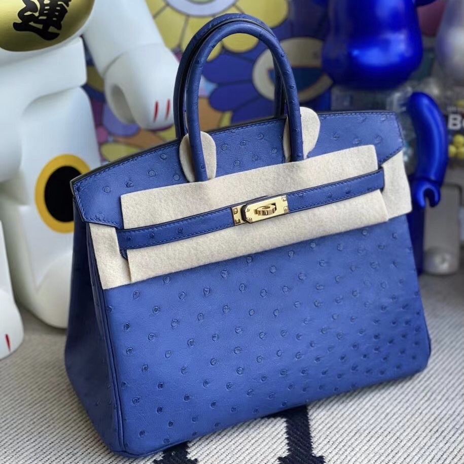 愛馬仕包包官網 臺灣官網 Hermès Bag Birkin 25 Ostrich 7Q Blue Mykonos 鴕鳥皮