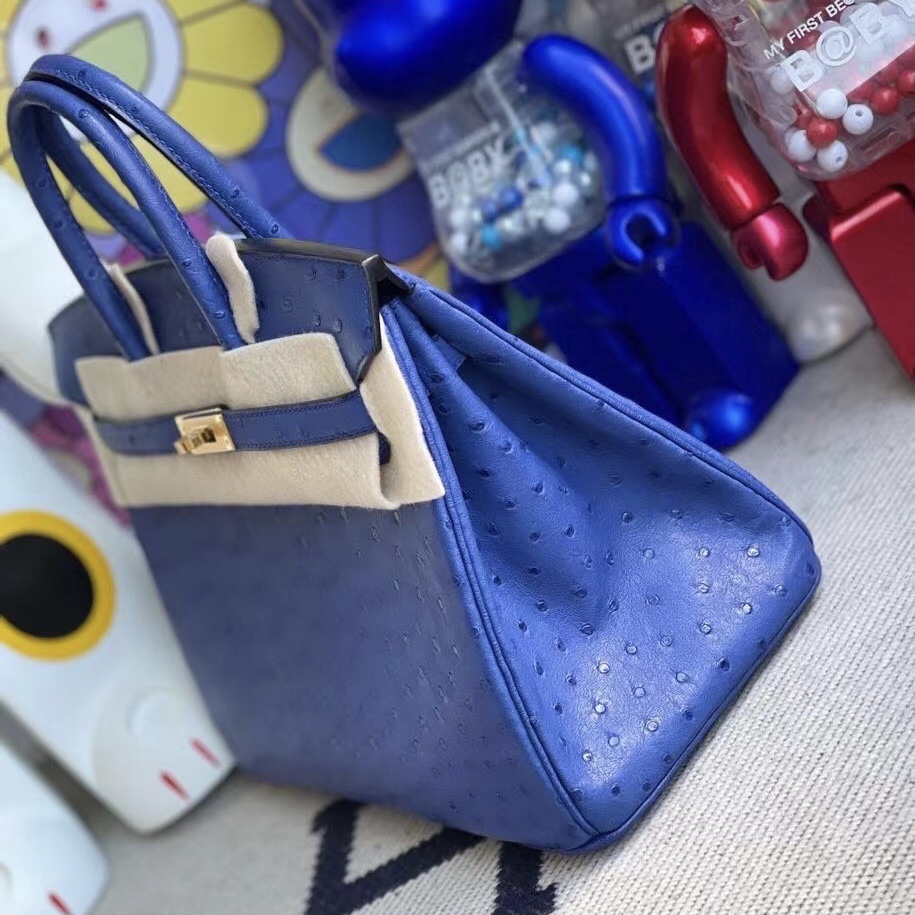 愛馬仕包包官網 臺灣官網 Hermès Bag Birkin 25 Ostrich 7Q Blue Mykonos 鴕鳥皮