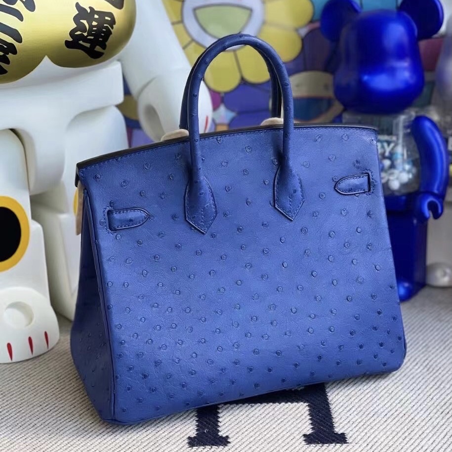 愛馬仕包包官網 臺灣官網 Hermès Bag Birkin 25 Ostrich 7Q Blue Mykonos 鴕鳥皮