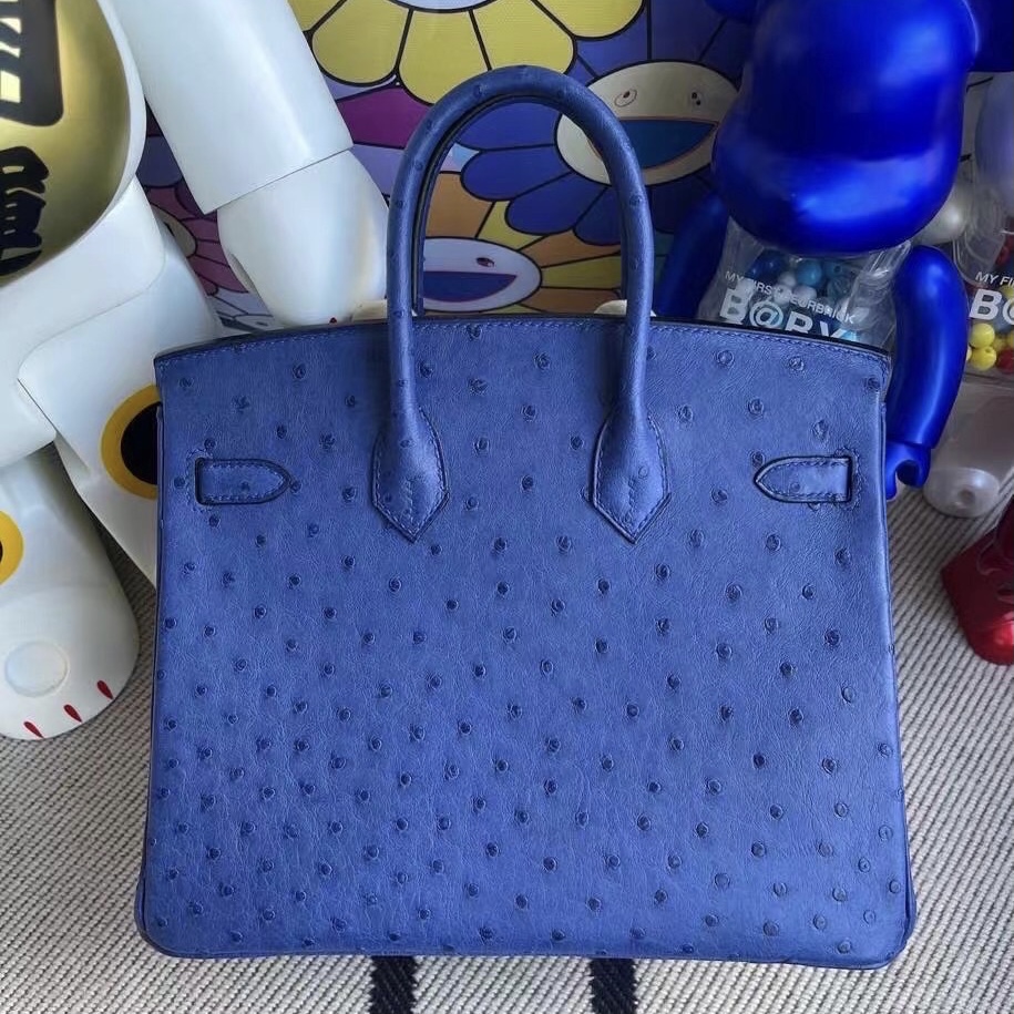 愛馬仕包包官網 臺灣官網 Hermès Bag Birkin 25 Ostrich 7Q Blue Mykonos 鴕鳥皮