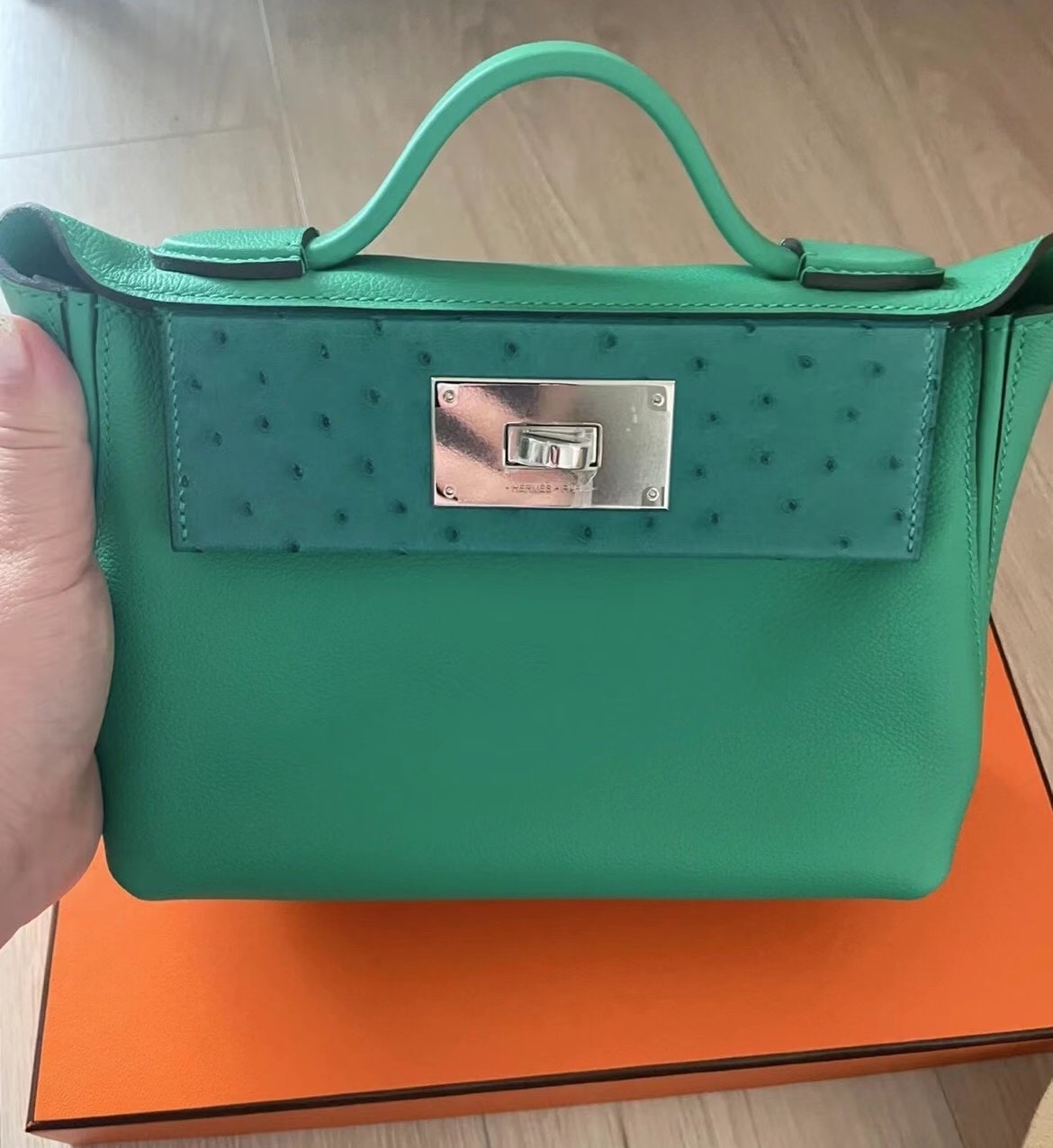 Hermes Mini 24/24 21cm Evercolor+Ostrich U4 Vert Verigo 絲絨綠 銀扣