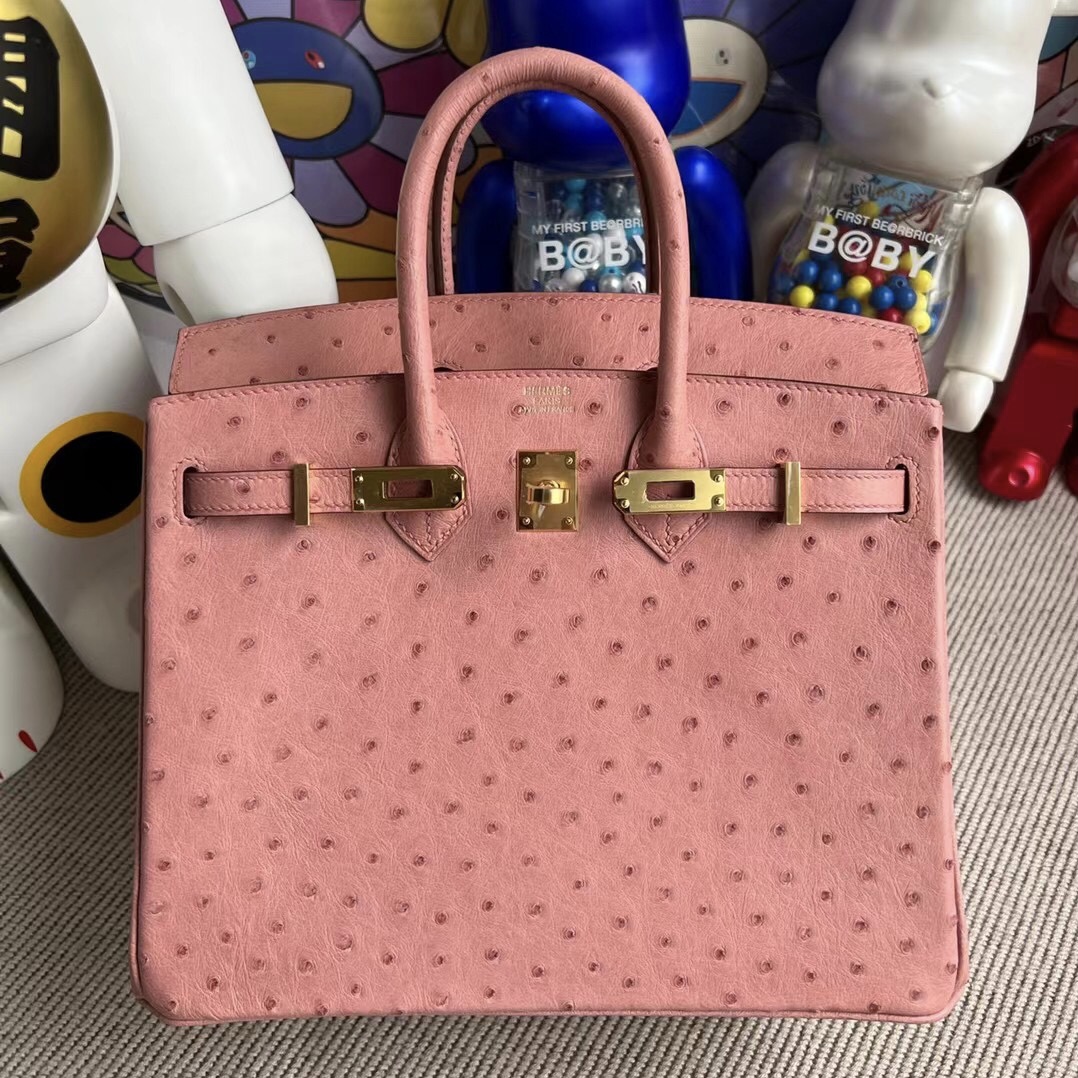 愛馬仕包包新加坡價格及圖片 Hermes Birkin 25 Ostrich 94 Terre Cuite 陶瓷粉金扣