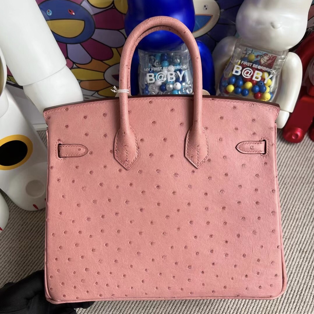 愛馬仕包包新加坡價格及圖片 Hermes Birkin 25 Ostrich 94 Terre Cuite 陶瓷粉金扣